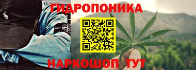 ПСИЛОЦИБИНОВЫЕ ГРИБЫ Изобильный