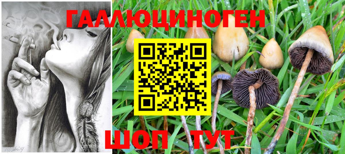Псилоцибиновые грибы MAGIC MUSHROOMS Лабинск